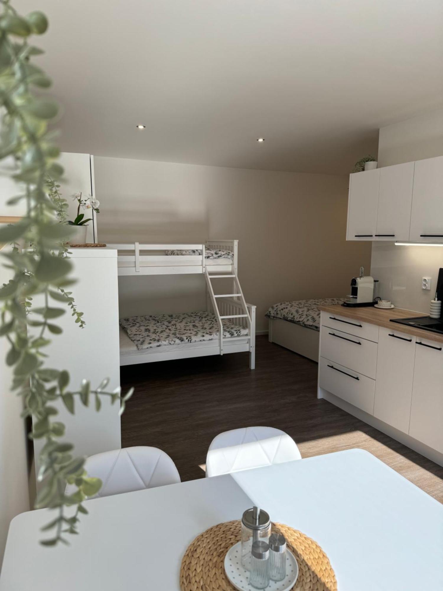 Rk Apartment #4 برنو المظهر الخارجي الصورة